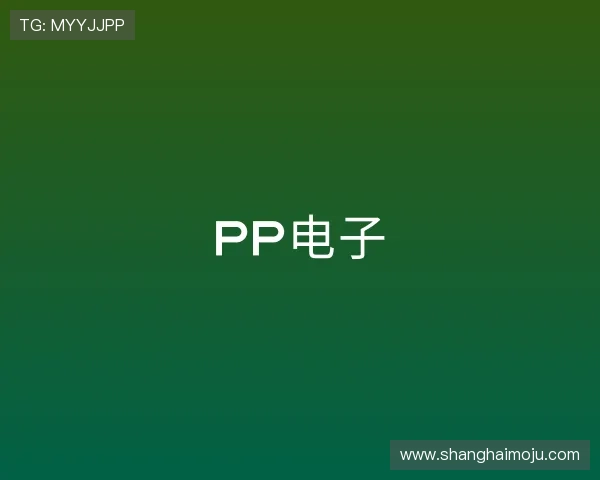 介绍pp电子